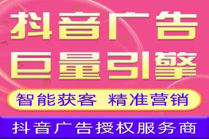 SEM托管公司案例分析：实战技巧全解析